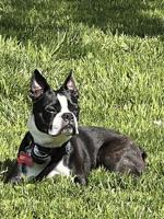 Pet Spot: Cooper enjoys snuggling with mom