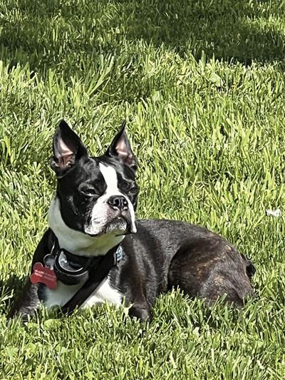 Pet Spot: Cooper enjoys snuggling with mom