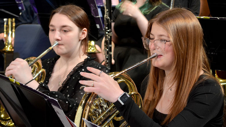 festus bands (3).JPG