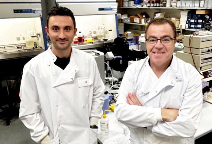 Cancer cells enter “zombie-like state” to evade chemotherapy, reveals new research