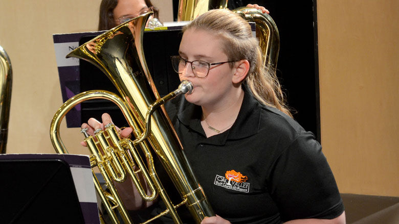 festus bands (5).JPG