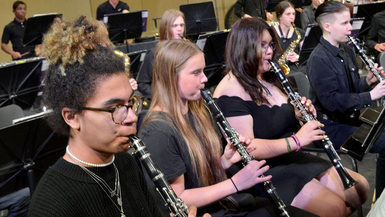 festus bands (7).JPG