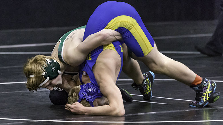 Ted R. Howell D4-0052.jpg