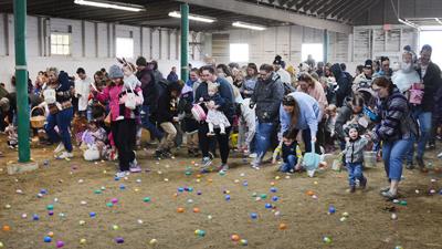 The hunts were held in the enclosed arena at Bridle Ridge, due to extreme wind and cold.