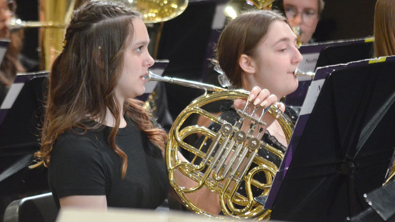 festus bands (14).JPG