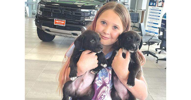 Samantha Sedrick, 11, holds two puppies available for adoption from the City of De Soto Kennel on May 20 at Pettus Ford De Soto.