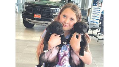Samantha Sedrick, 11, holds two puppies available for adoption from the City of De Soto Kennel on May 20 at Pettus Ford De Soto.