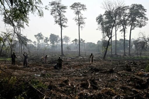 Islamabad was planned as a green city, with wide avenues, parks, and tree-lined sectors, but many say that vision is steadily eroding