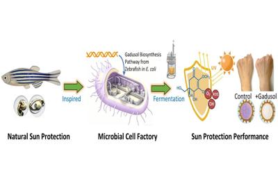 e-coli-could-be–1544723