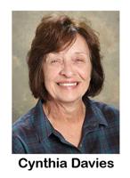 BYRNES MILL: Sales tax measure, Ward 2 seat on ballot