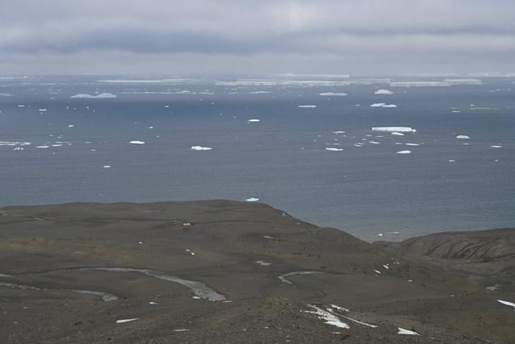 Ancient penguin fossils offer new window into Antarctica’s changing climate