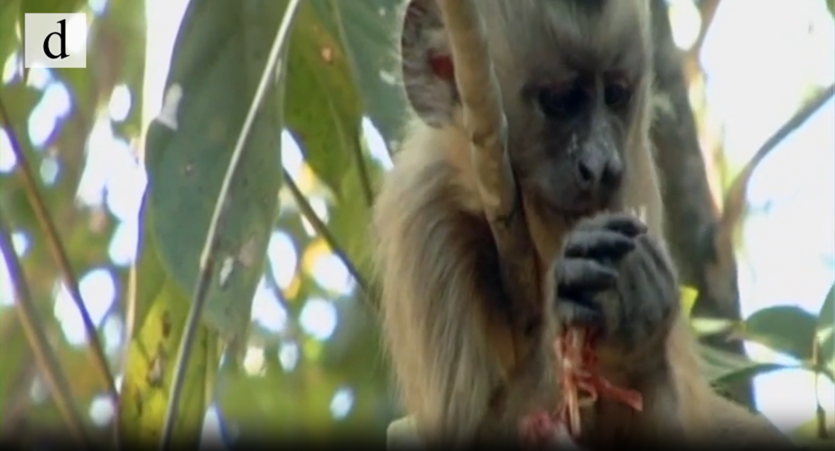 Screenshot 2026-08-27 at 7.47.04 AM