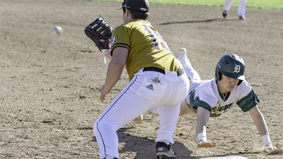 de soto baseball web.jpg