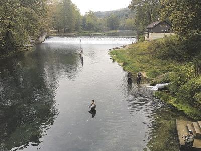hatchery