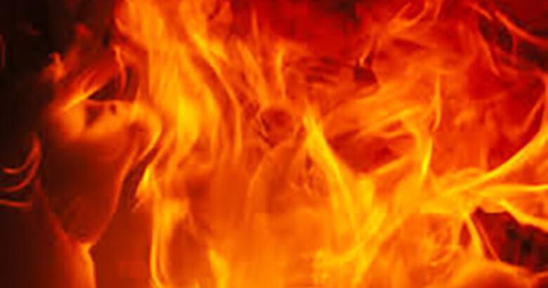 Fire destroys outbuilding on Tina Drive in House Springs | Police Fire - Vimarsana News