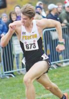 County cross country teams shine at state