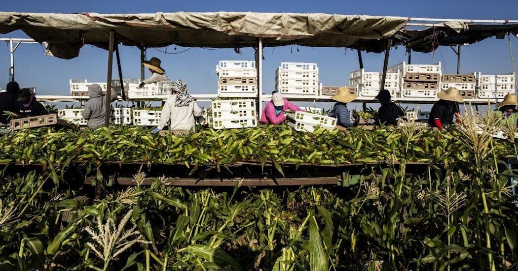 In deep-red Idaho, even Republicans break with Trump on farm labor