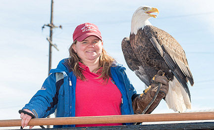 Bald eagle joins parade