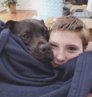Picture Your Pet photo contest - Part 4