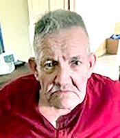 Ervin E. Brown, 73, Fletcher