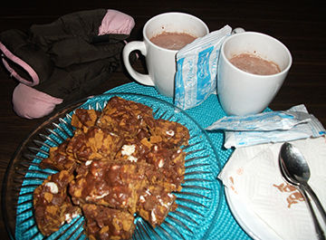 S'mores Bars