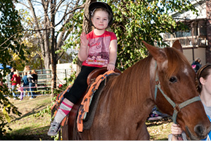 Kimmswick Apple Butter Festival 
