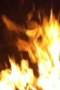 Chupacabra? Spooky creature or mangy coyote found in De Soto