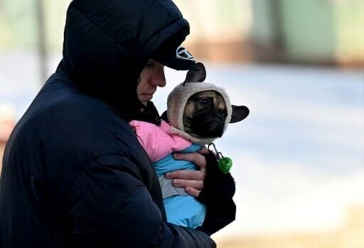 A man carries a bundled up dog during a frosty winter day in Kyiv, where temperatures are below freezing
