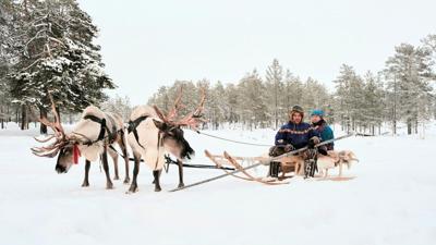 Finnish Lapland Reindeer Sleigh Sami - Unsplash+ License
