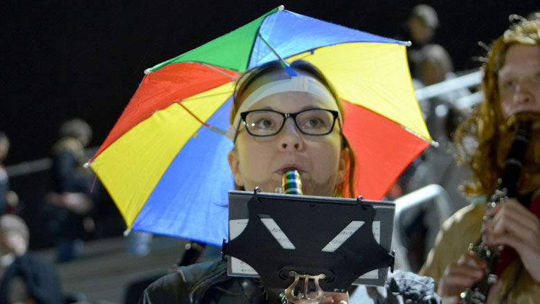 festus bands (0).JPG