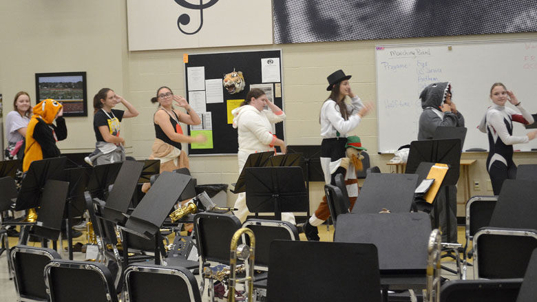 festus bands (2).JPG