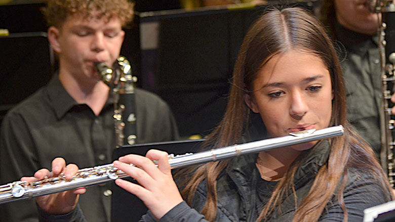 festus bands (4).JPG