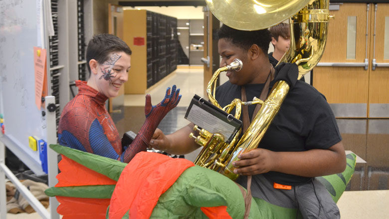 festus bands (7).jpg