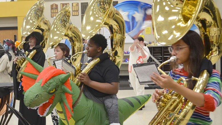 festus bands (8).jpg