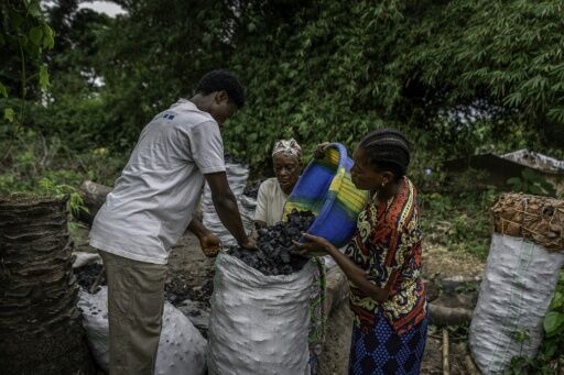 The charcoal trade fuels deforestation but is relied on by local communities, who earn 8,000 Congolese francs ($3) per sack