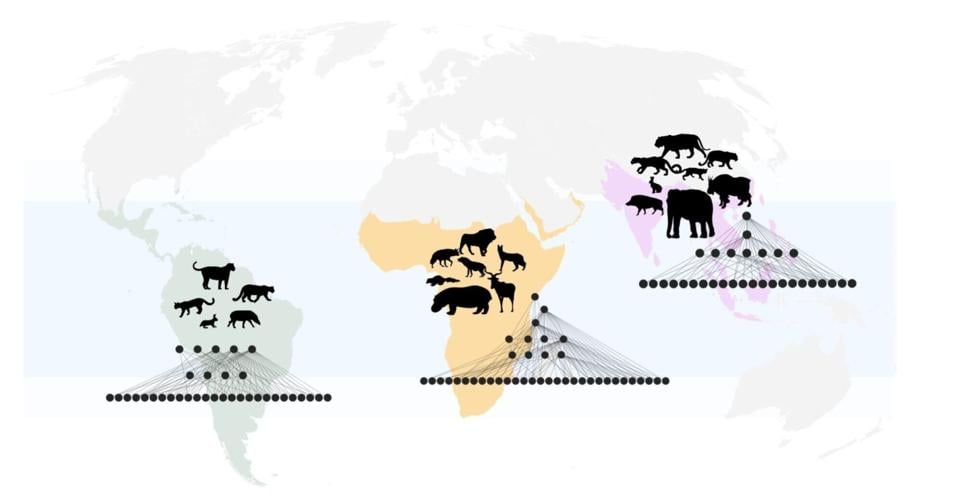 giant-species-t–1537281
