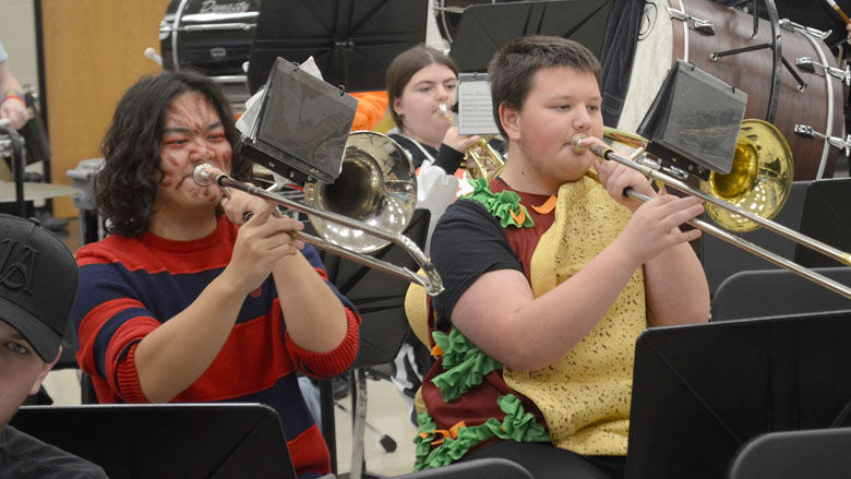 festus bands (12).JPG