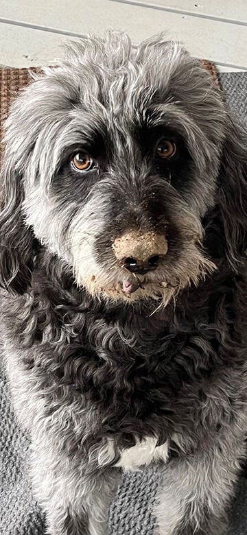 Pet Spot: Dana Marie adept at catching moles