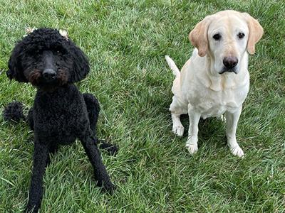 Stella, left, and Harlee, in 2021.