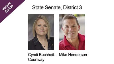 State Senate, District 3