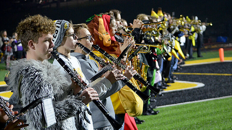 festus bands 4 (2).JPG