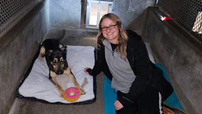 One hundred forty animal shelters across 39 states will participate in the 24-hour Shelter Slumber Pawty to raise awareness and funds for animal welfare. Open Door Animal Sanctuary in House Springs is hoping to raise $15,000 as part of the Shelter Slumb...