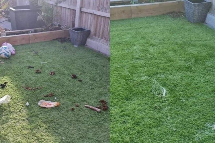 Animal lover able to buy a house – from picking up dog poo