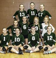 JCAA volleyball previews