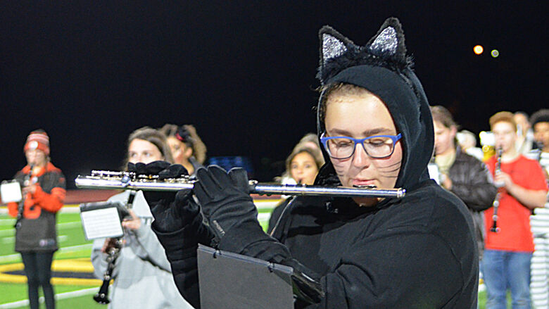 festus bands 4 (9).JPG