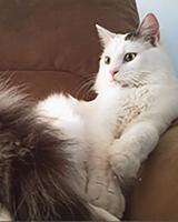 Pet Spot: Asher likes belly rubs