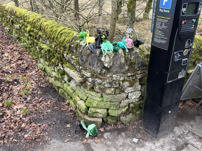 SWNS_HADRIANS_POO_001_140750