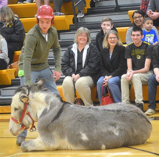 festus donkey (3).JPG