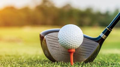 golf tee generic