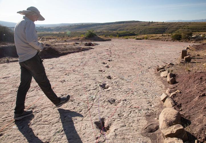 Researchers discover world’s busiest dinosaur superhighway